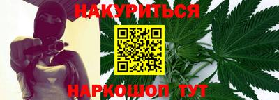 сатива Славгород
