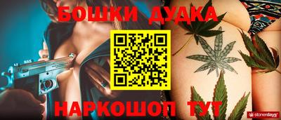 сатива Славгород