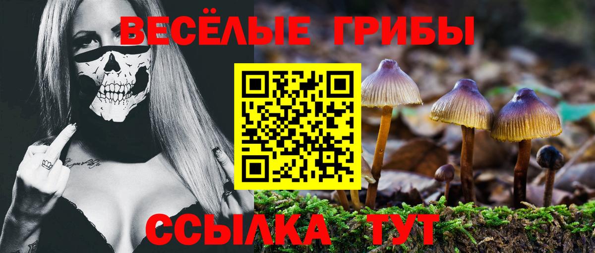 Галлюциногенные грибы Psilocybine cubensis Подольск