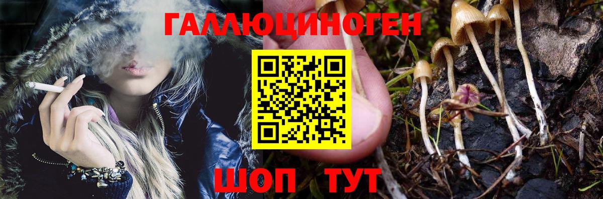 Подольск  Псилоцибиновые грибы MAGIC MUSHROOMS  Вход с VPN  купить наркотики сайты  Псилоцибиновые грибы ЛСД 